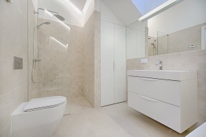 Houston Shower Doors